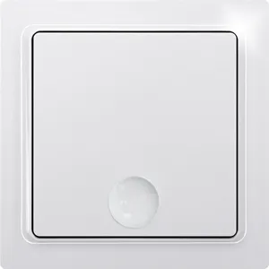 [2826277] F1T65-wg, 1-kanavainen